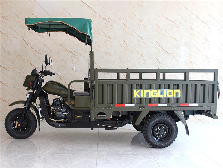2.motorized cargo tricycle